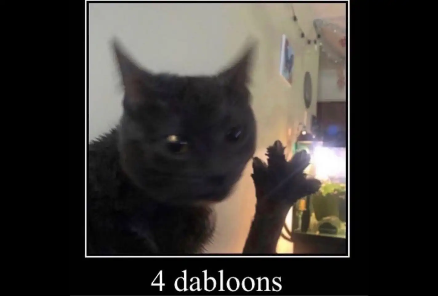 A screenshot of https://4dabloo.nz. It's a cat holding up their paw with 4 toes, labelled '4 dabloons'.